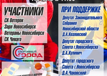 Кубок по хоккею с мячом И.А.Колотова